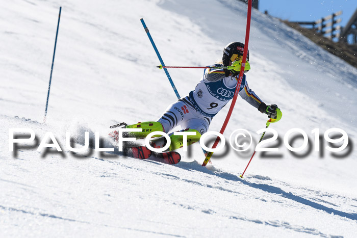 NC Slalom Damen Gudiberg 23.03.2019