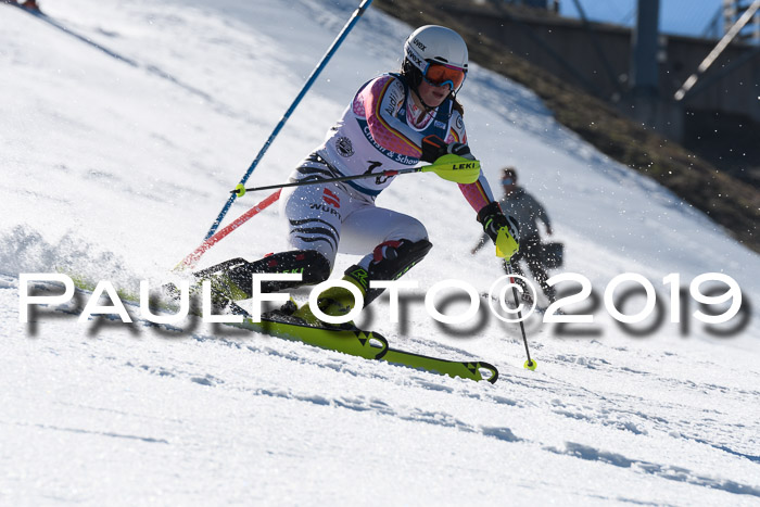 NC Slalom Damen Gudiberg 23.03.2019