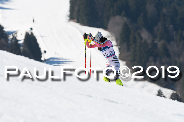 NC Slalom Damen Gudiberg 23.03.2019