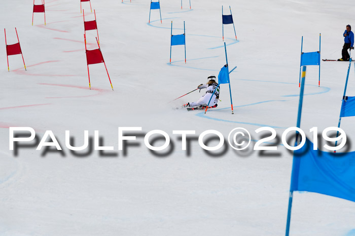 Deutsche Meisterschaft Team PSL Gudiberg 23.03.2019