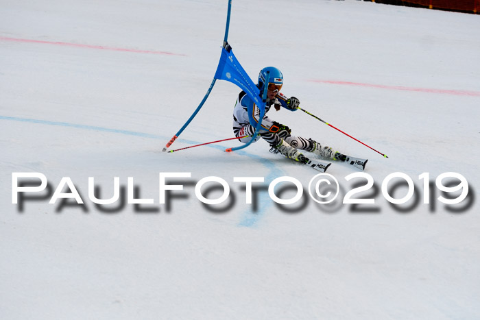 Deutsche Meisterschaft Team PSL Gudiberg 23.03.2019