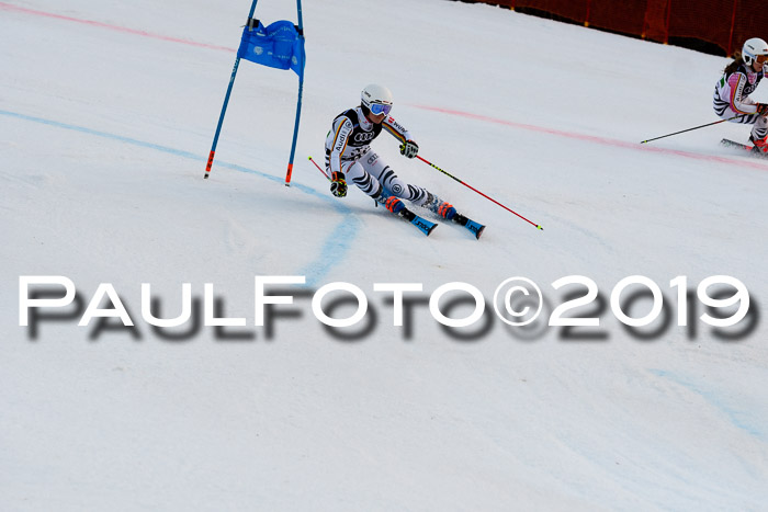 Deutsche Meisterschaft Team PSL Gudiberg 23.03.2019