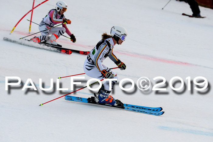 Deutsche Meisterschaft Team PSL Gudiberg 23.03.2019