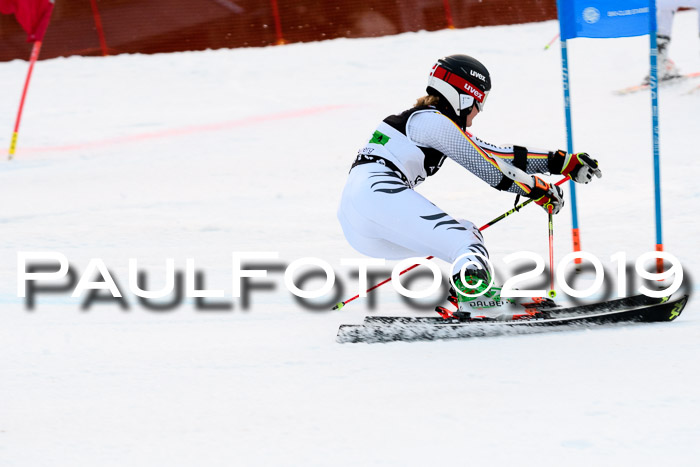 Deutsche Meisterschaft Team PSL Gudiberg 23.03.2019