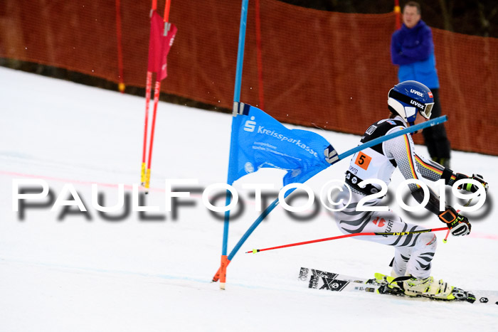 Deutsche Meisterschaft Team PSL Gudiberg 23.03.2019