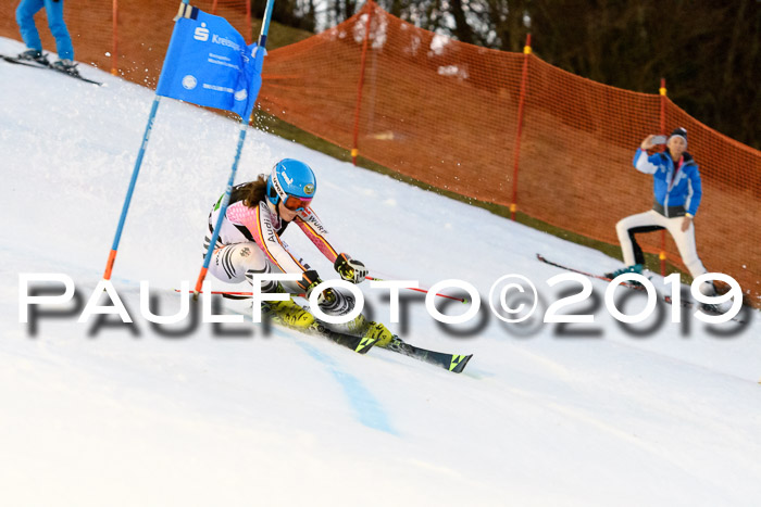 Deutsche Meisterschaft Team PSL Gudiberg 23.03.2019
