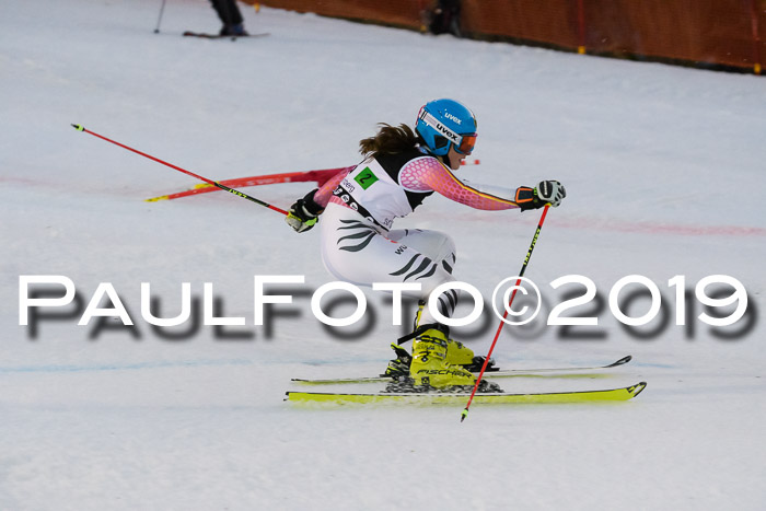 Deutsche Meisterschaft Team PSL Gudiberg 23.03.2019