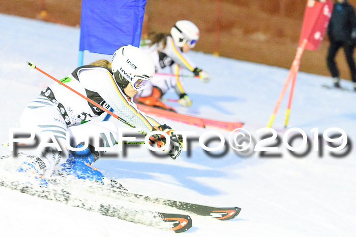 Deutsche Meisterschaft Team PSL Gudiberg 23.03.2019