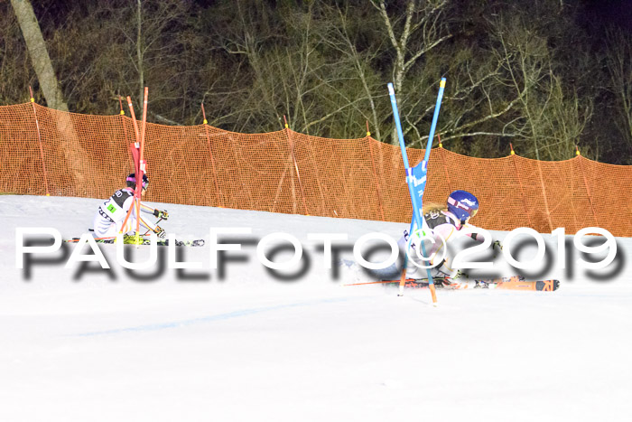 Deutsche Meisterschaft Team PSL Gudiberg 23.03.2019