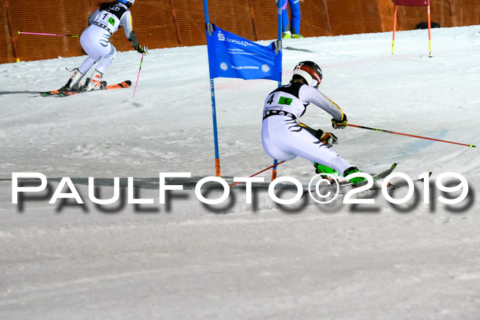 Deutsche Meisterschaft Team PSL Gudiberg 23.03.2019