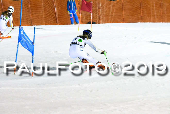 Deutsche Meisterschaft Team PSL Gudiberg 23.03.2019