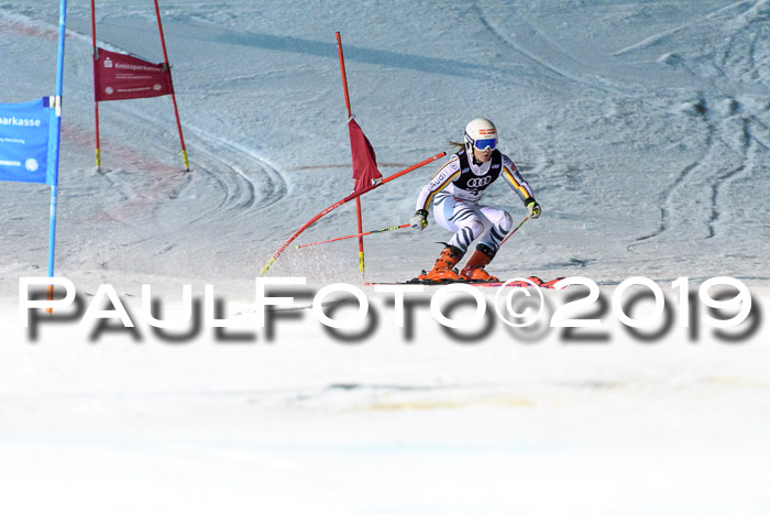 Deutsche Meisterschaft Team PSL Gudiberg 23.03.2019