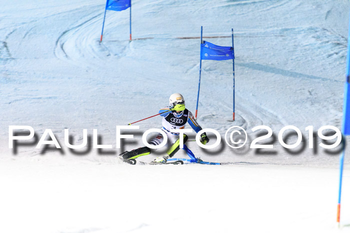 Deutsche Meisterschaft Team PSL Gudiberg 23.03.2019