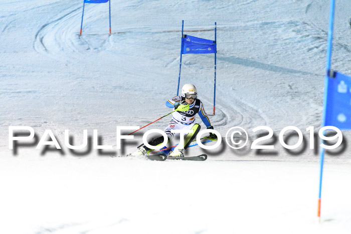 Deutsche Meisterschaft Team PSL Gudiberg 23.03.2019