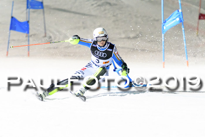 Deutsche Meisterschaft Team PSL Gudiberg 23.03.2019