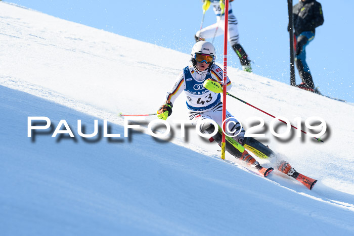 NC Slalom Herren Gudiberg 24.03.2019