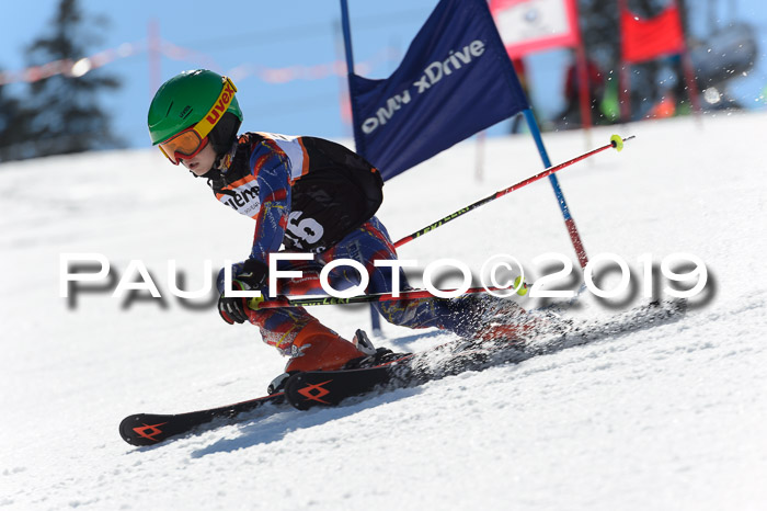 Ziener Cup WF,Finale, Quali + PSL, 30.03.2019