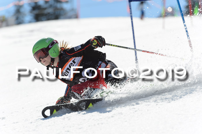 Ziener Cup WF,Finale, Quali + PSL, 30.03.2019