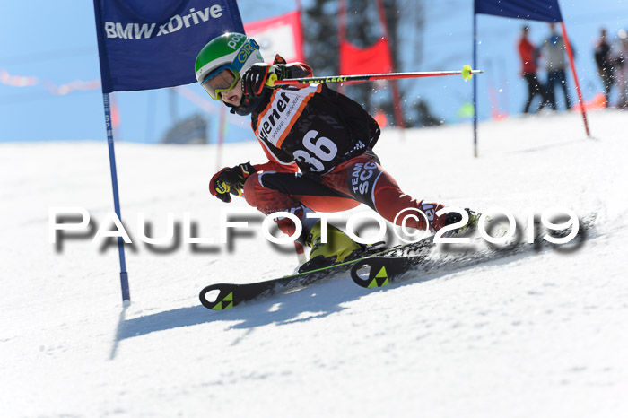 Ziener Cup WF,Finale, Quali + PSL, 30.03.2019