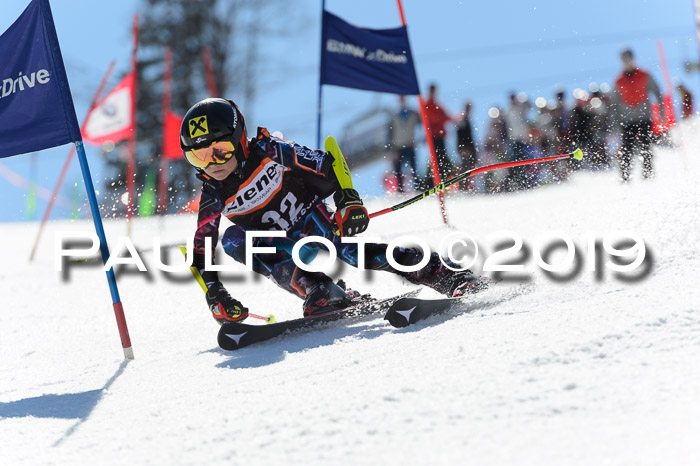 Ziener Cup WF,Finale, Quali + PSL, 30.03.2019