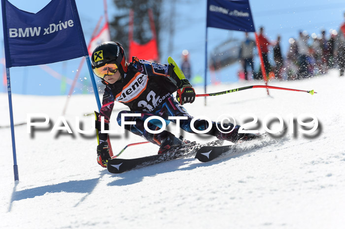 Ziener Cup WF,Finale, Quali + PSL, 30.03.2019
