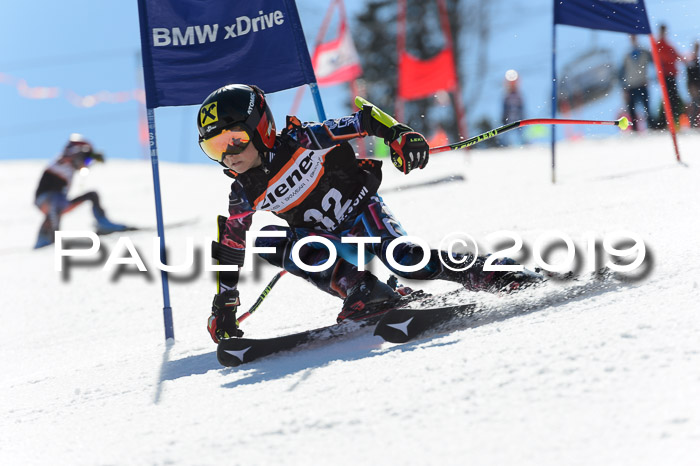 Ziener Cup WF,Finale, Quali + PSL, 30.03.2019
