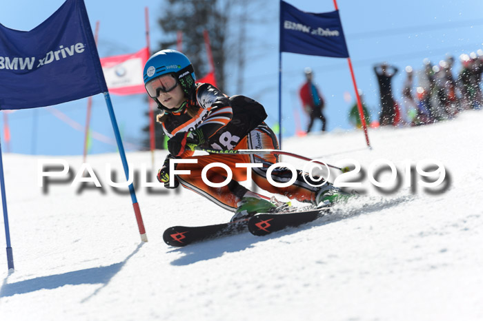 Ziener Cup WF,Finale, Quali + PSL, 30.03.2019