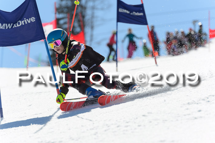 Ziener Cup WF,Finale, Quali + PSL, 30.03.2019