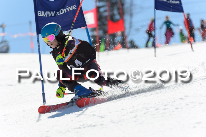 Ziener Cup WF,Finale, Quali + PSL, 30.03.2019
