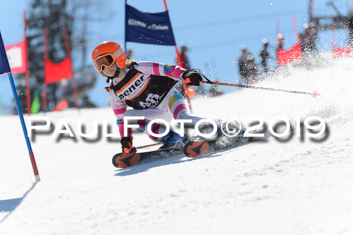 Ziener Cup WF,Finale, Quali + PSL, 30.03.2019