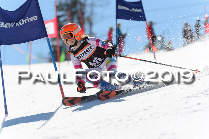 Ziener Cup WF,Finale, Quali + PSL, 30.03.2019