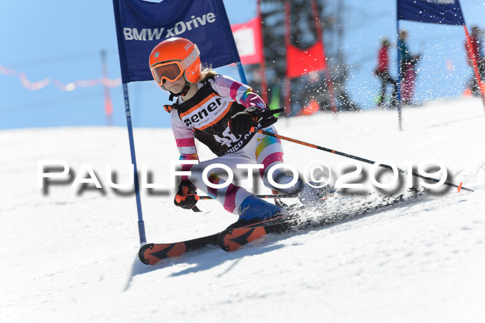 Ziener Cup WF,Finale, Quali + PSL, 30.03.2019