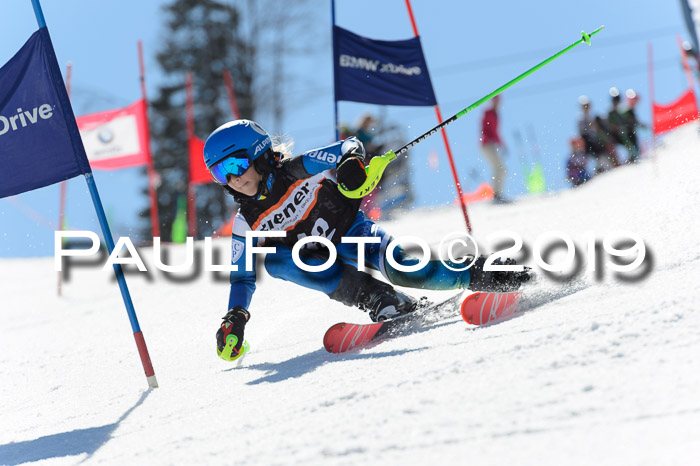 Ziener Cup WF,Finale, Quali + PSL, 30.03.2019