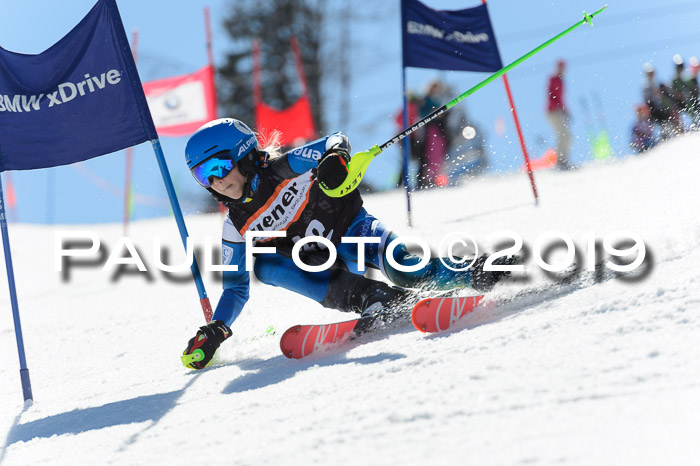 Ziener Cup WF,Finale, Quali + PSL, 30.03.2019