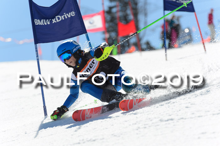 Ziener Cup WF,Finale, Quali + PSL, 30.03.2019