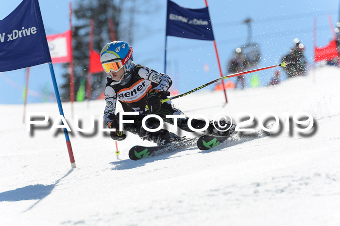 Ziener Cup WF,Finale, Quali + PSL, 30.03.2019