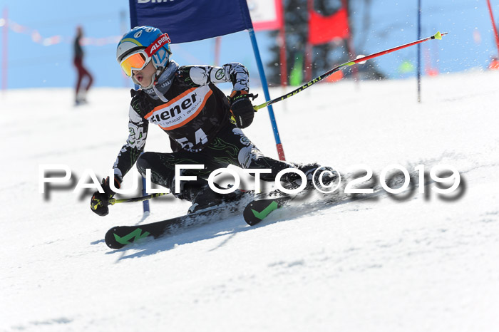 Ziener Cup WF,Finale, Quali + PSL, 30.03.2019