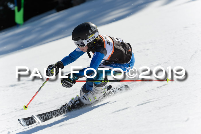 Ziener Cup WF,Finale, Quali + PSL, 30.03.2019