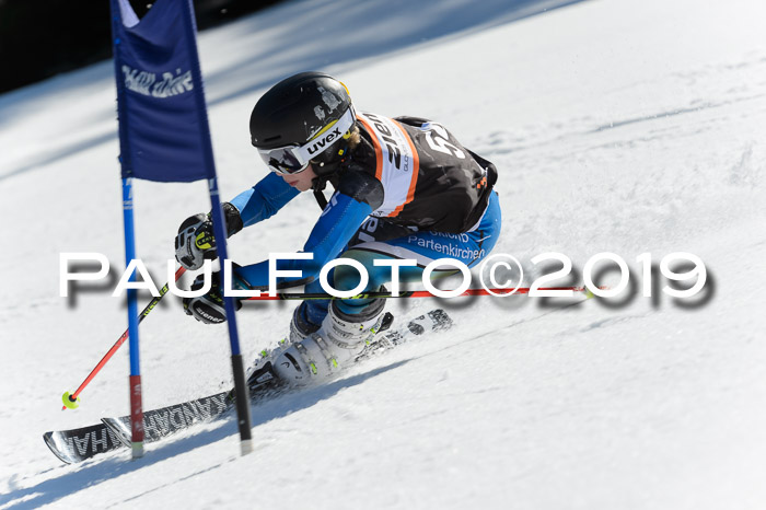 Ziener Cup WF,Finale, Quali + PSL, 30.03.2019