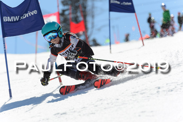 Ziener Cup WF,Finale, Quali + PSL, 30.03.2019