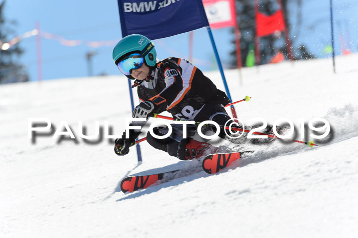 Ziener Cup WF,Finale, Quali + PSL, 30.03.2019
