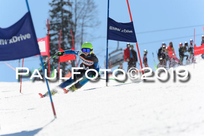Ziener Cup WF,Finale, Quali + PSL, 30.03.2019