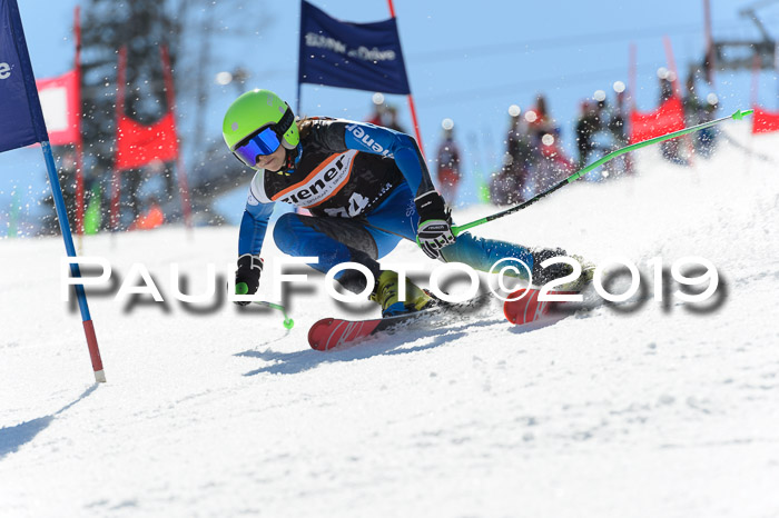 Ziener Cup WF,Finale, Quali + PSL, 30.03.2019