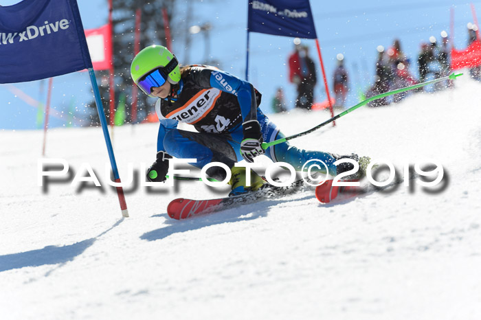 Ziener Cup WF,Finale, Quali + PSL, 30.03.2019