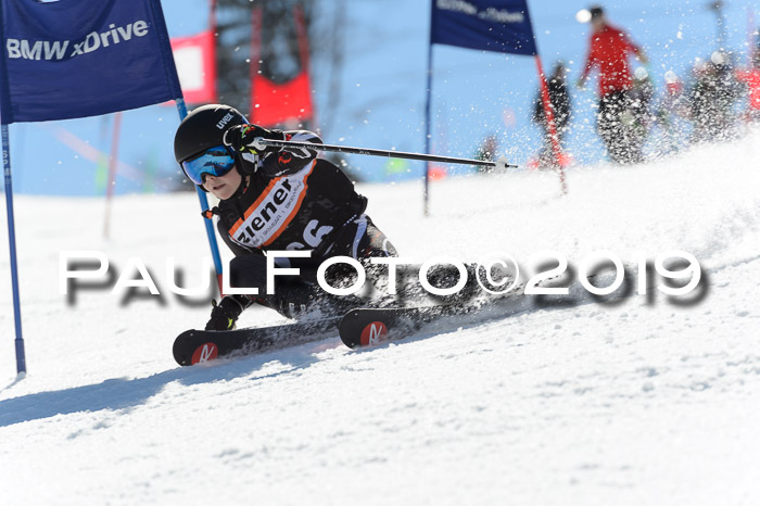 Ziener Cup WF,Finale, Quali + PSL, 30.03.2019
