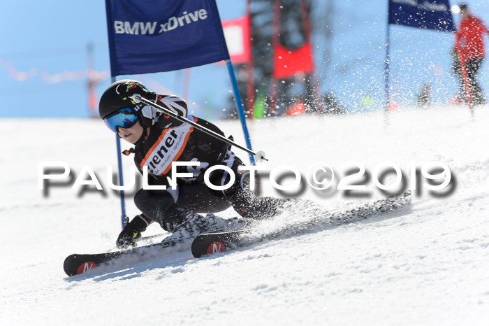 Ziener Cup WF,Finale, Quali + PSL, 30.03.2019