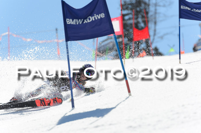 Ziener Cup WF,Finale, Quali + PSL, 30.03.2019