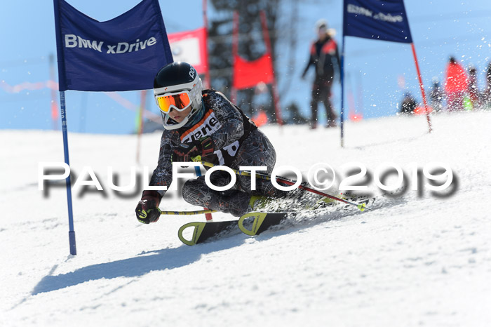 Ziener Cup WF,Finale, Quali + PSL, 30.03.2019