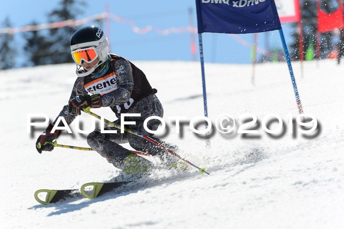 Ziener Cup WF,Finale, Quali + PSL, 30.03.2019