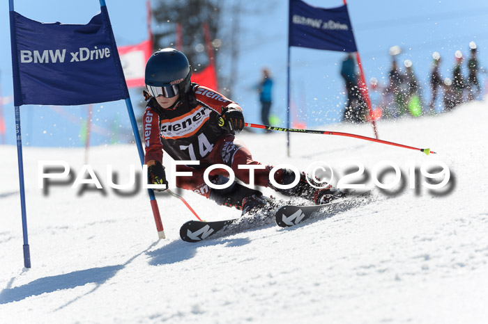 Ziener Cup WF,Finale, Quali + PSL, 30.03.2019